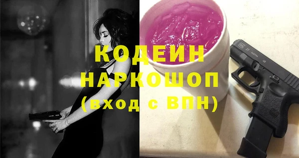 индика Беломорск