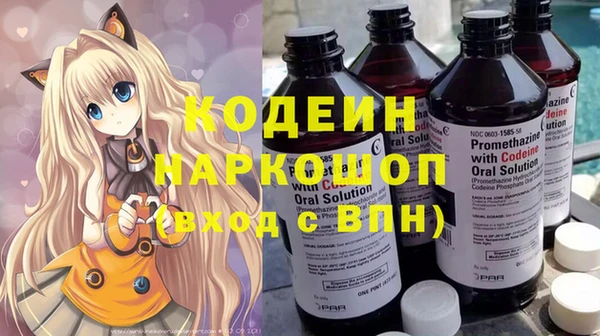 индика Беломорск