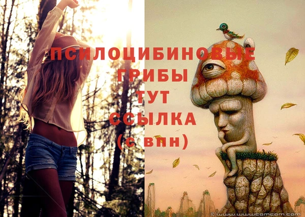 индика Беломорск