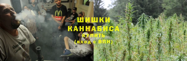 индика Беломорск