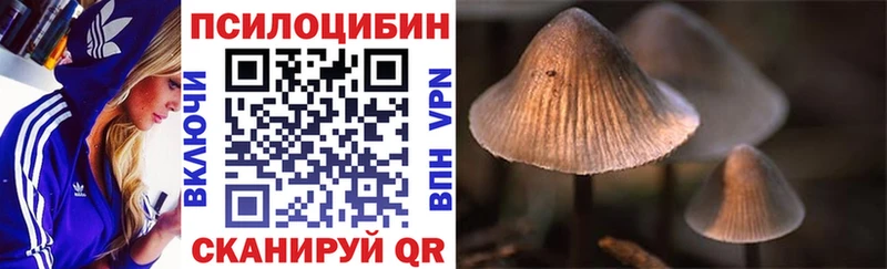Псилоцибиновые грибы Magic Shrooms  Чкаловск 